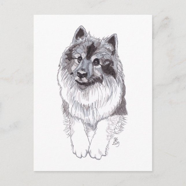 De Anúncio Cartão postal Doggust 2019 Keeshond (Frente)