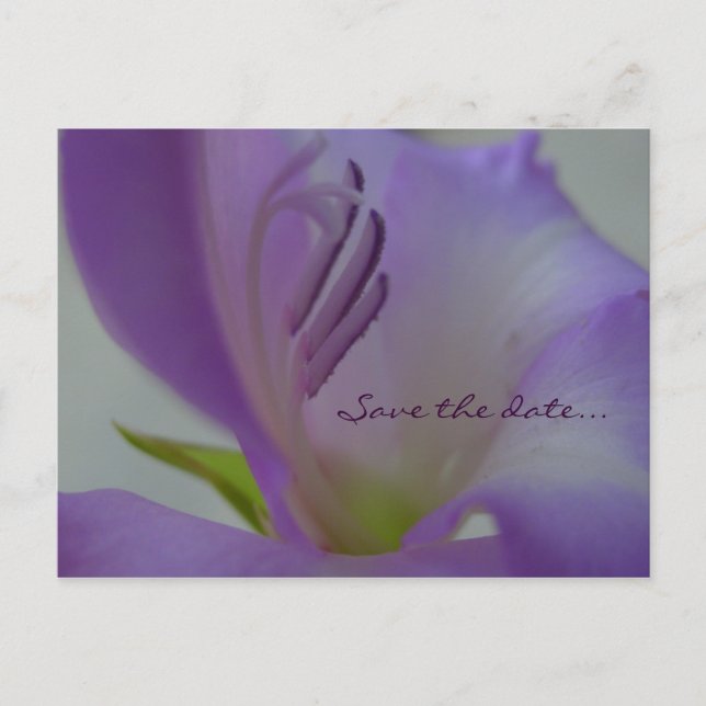 De Anúncio Cartão postal PurpleDreamFlower Save the date (Frente)
