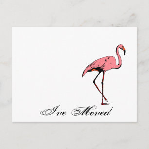 De Anúncio Cartão Postal Retrô Mudei Novo Endereço Flamingo C
