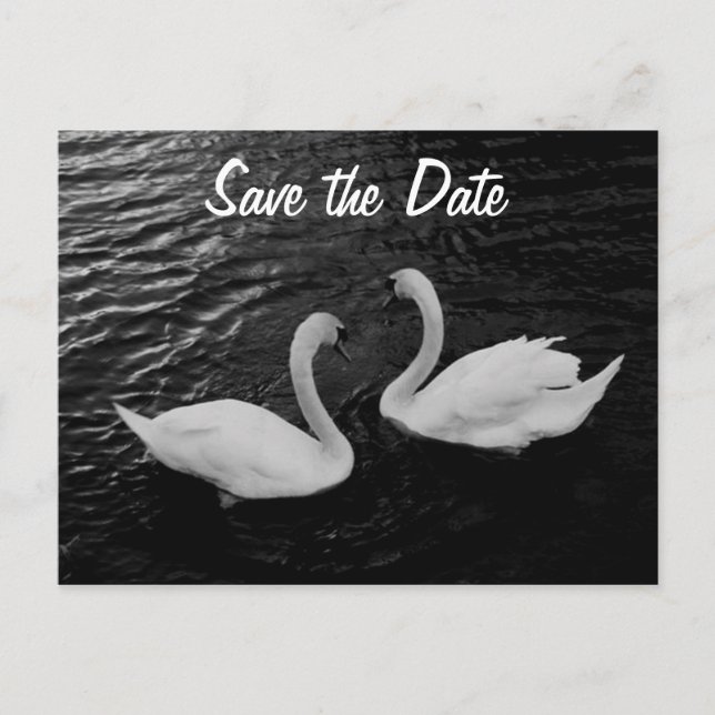 De Anúncio Cartão postal Swan Save the Date (Frente)
