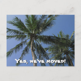 De Anúncio Mudamos - Palm Trees no Cartão Postal