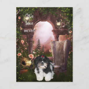 De Anúncio "Nós nos mudamos" Cartão Postal Shih Tzu