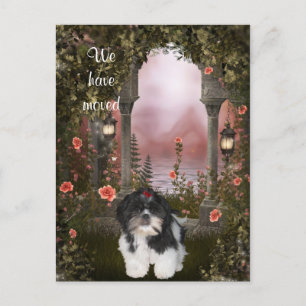 De Anúncio "Nós nos mudamos" Cartão Postal Shih Tzu