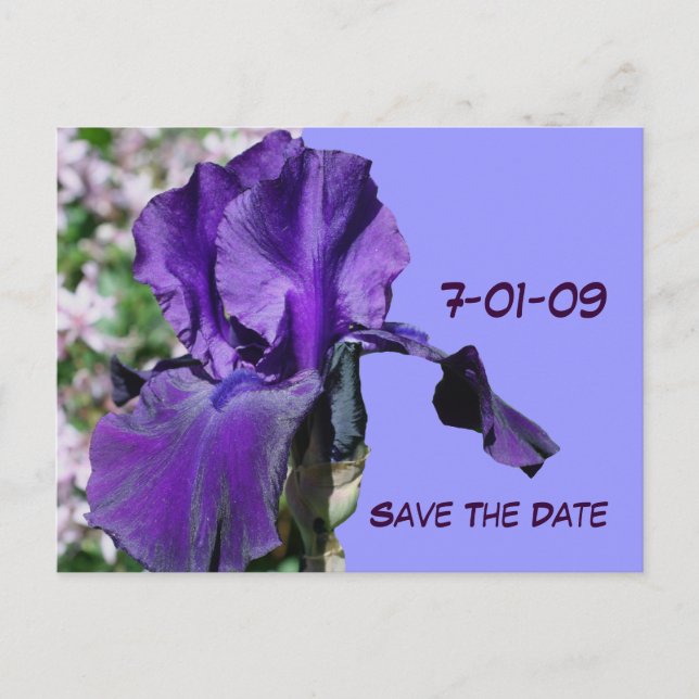 De Anúncio Salve A Data Do Cartão Postal Da Flor Iris Roxo (Frente)