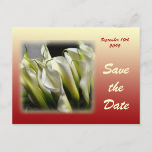 De Anúncio Salve o cartão postal Date - White Calla Lily