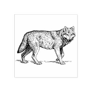 De Borracha Wolf - Carimbo