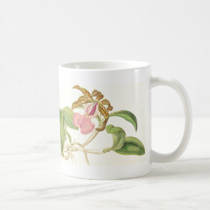 De Café A orquídea do vintage floresce a caneca
