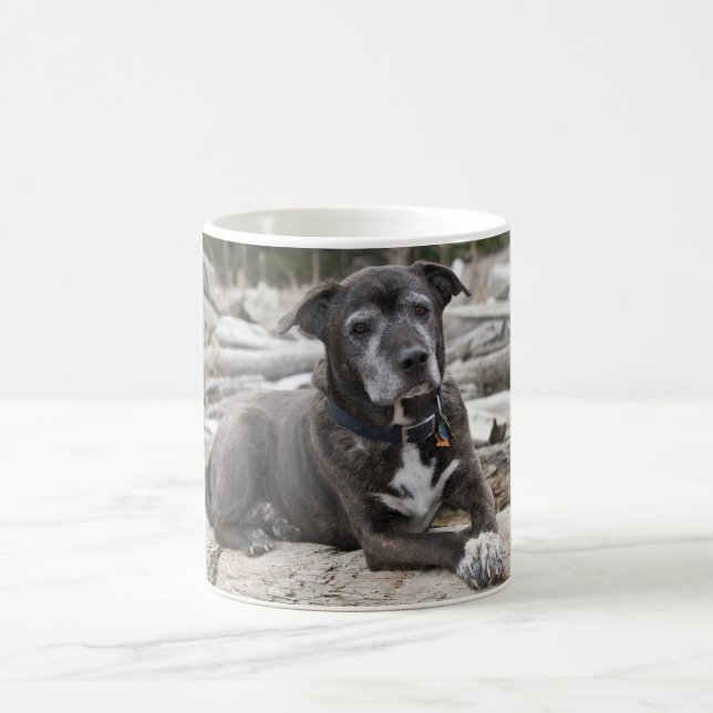 De Café American Staffordshire Terrier - Caneca (Centro)