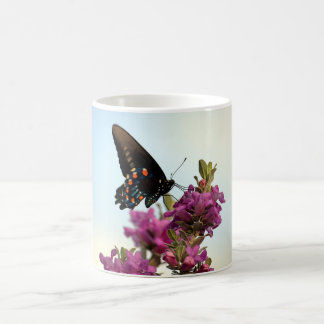 De Café Beleza da caneca