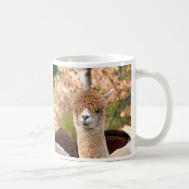 De Café Belle da caneca da alpaca (Direita)