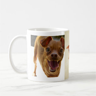 De Café Caneca