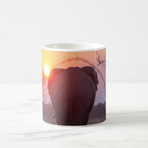 De Café Caneca