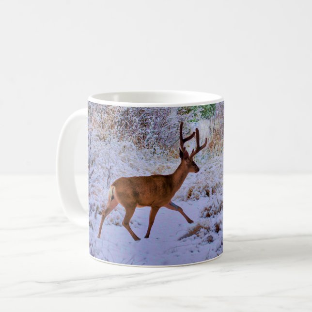 De Café Caneca (Frente Esquerda)