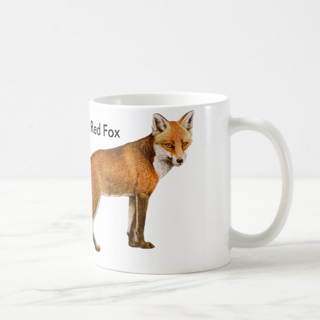 De Café Caneca (Direita)