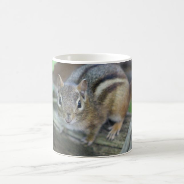 De Café Caneca (Centro)