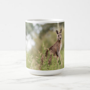 De Café Caneca