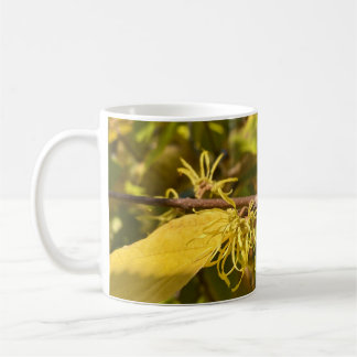 De Café Caneca