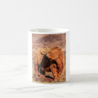 De Café Caneca