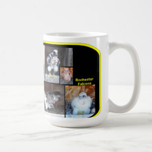 De Café Caneca 2012