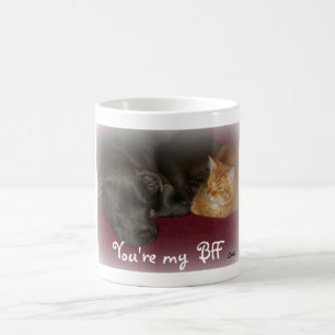 De Café Caneca Amigos para Sempre Cachorro e Gato