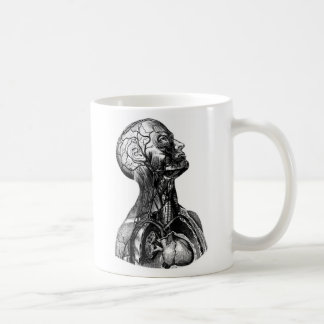 De Café Caneca anatômica do desenho do torso superior