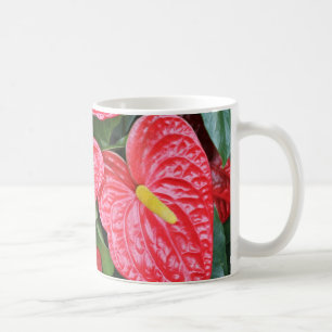 De Café CANECA - antúrio vermelho