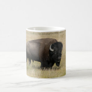 De Café Caneca branca clássica do búfalo