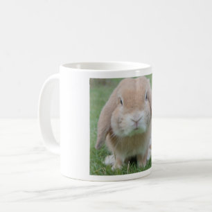 De Café Caneca branca clássica do coelho carnudo
