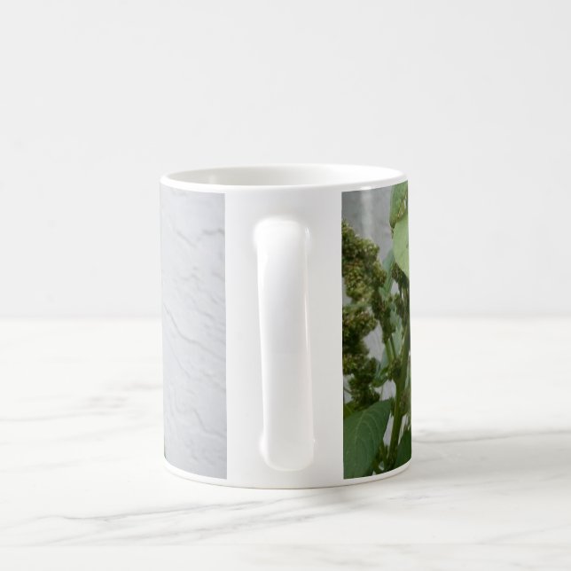 De Café Caneca branca clássica do espinafre selvagem (Alça)