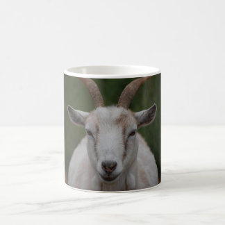 De Café Caneca branca da cabra