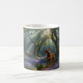 De Café Caneca Caminho da Floresta – Serenidade e Companhi