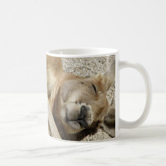 De Café Caneca Canguru Dormindo