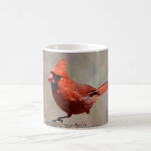 De Café Caneca cardinal (Centro)