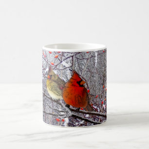 De Café Caneca cardinal do Natal