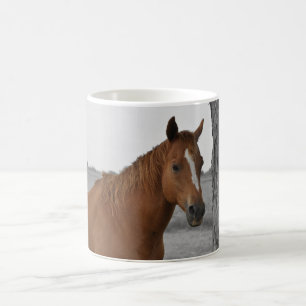 De Café Caneca Cavalo Marrom, Fundo Preto e Branco