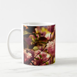 De Café Caneca Cherry Blossoms