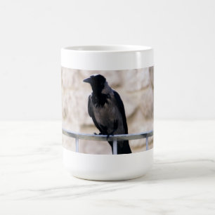 De Café Caneca cinzenta do corvo