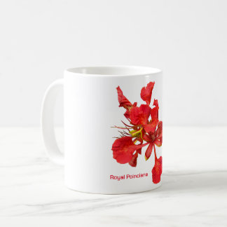 De Café Caneca Clássica Royal Poinciana