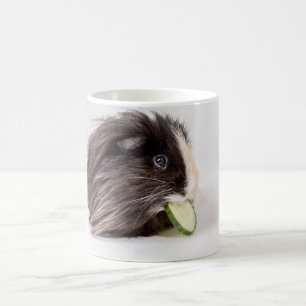 De Café Caneca com a cobaia bonito que come o pepino