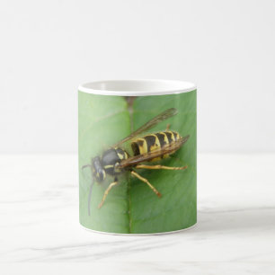 De Café Caneca com Besouro-flutuante numa Folha