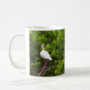 De Café Caneca com Foto do Pássaro Íbis Branco