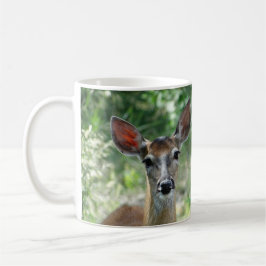 De Café Caneca D33 da corça cervo-de-cauda-branca