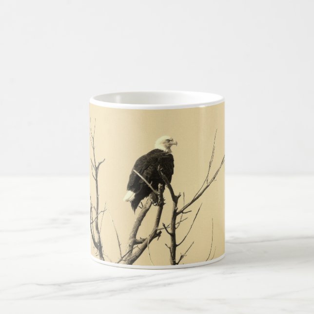 De Café Caneca da águia americana (Centro)