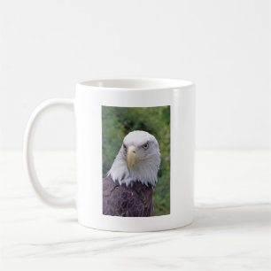 De Café Caneca da águia americana