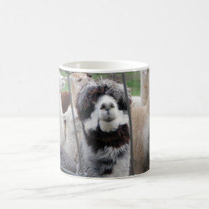 De Café Caneca da alpaca:)