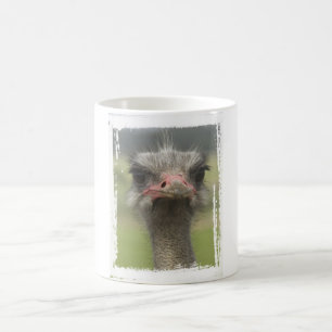 De Café Caneca da avestruz
