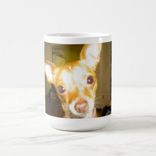 De Café Caneca da chihuahua