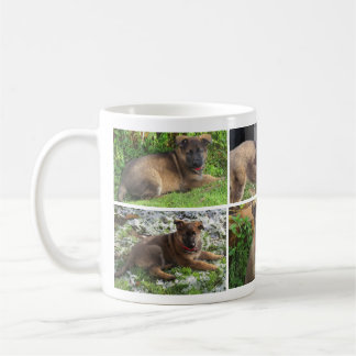De Café Caneca da colagem da foto do cão