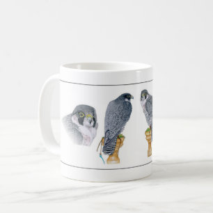 De Café Caneca da falcoaria do peregrino