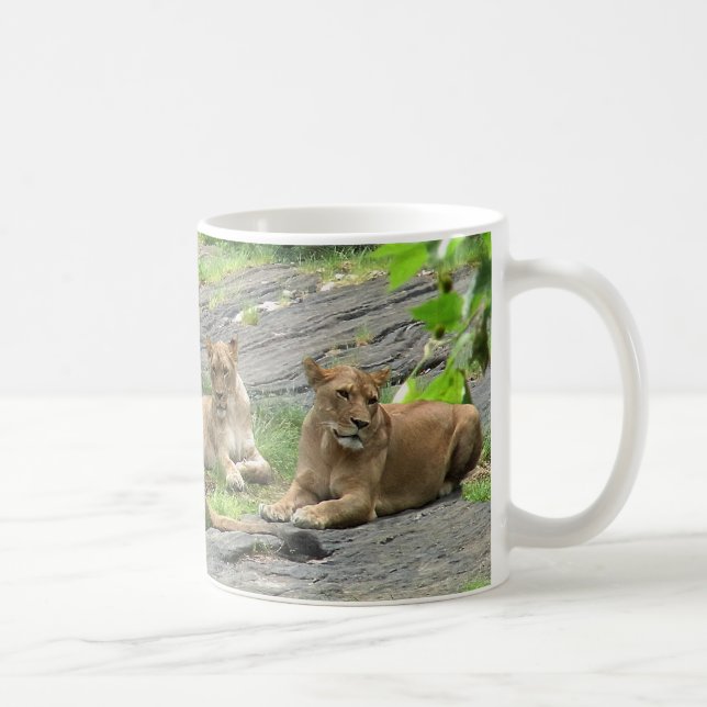 De Café Caneca da família do leão em repouso (Direita)